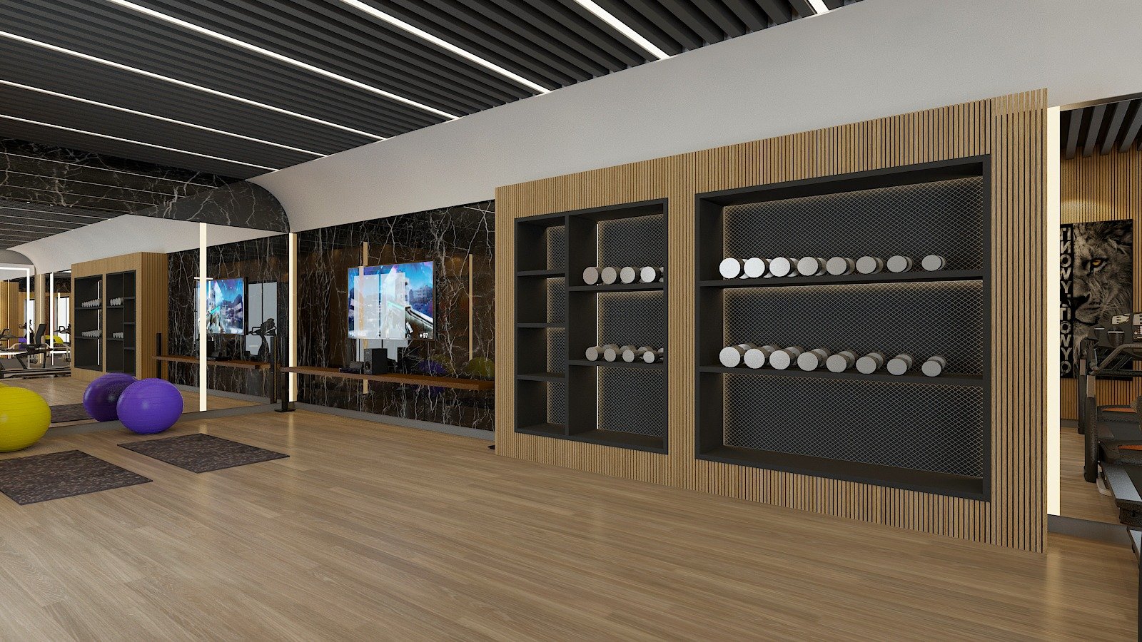 Gym 3D-3